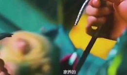 好家伙爆料视频,揭秘幕后真相，带你走进事件核心