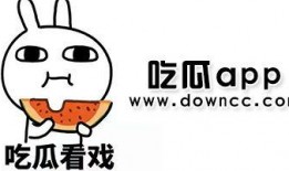 网红吃瓜在线免费观看,免费在线观看，揭秘娱乐圈幕后风云