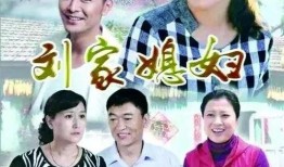 刘家媳妇在线观看,揭秘农村家庭生活，情感纠葛与时代变迁