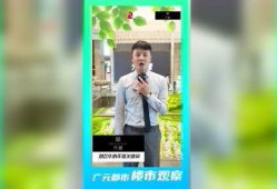 陇南都市爆料新闻视频下载,视频揭秘最新热点事件