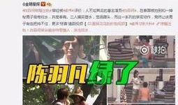 云游被爆料出轨视频,真相与舆论的漩涡