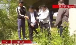 陈氏果业爆料事件视频完整版,揭秘背后真相与争议