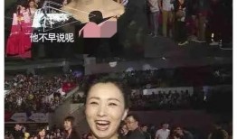 娱乐圈吃瓜爆料回放,回顾那些年我们追过的热点事件