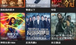 外国玩家爆料视频下载软件,这款下载软件究竟有何魅力？