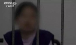 宁波顺丰爆料事件始末视频,真相与争议的交织