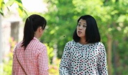 刘家媳妇在线观看,揭秘农村家庭生活，情感纠葛与时代变迁