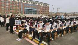 桃城中学最新爆料,揭秘校园风云背后的真相