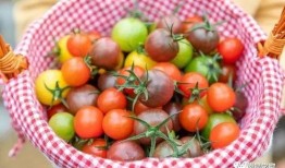 火爆吃瓜抖音网红叫什么,揭秘火爆网红的瓜田传奇