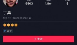 博肖娱乐圈爆料视频大全,揭秘明星幕后故事
