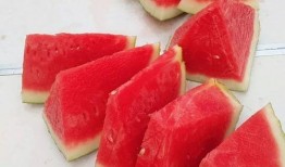 网红大赛-每日大赛-吃瓜,每日大赛现场，吃瓜群众狂欢盛宴