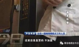 鲍师傅是真的吗爆料视频,揭秘网络爆料视频背后的真相