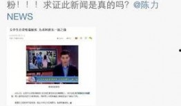 鹏程哥哥最新爆料新闻,最新爆料新闻背后的惊人真相