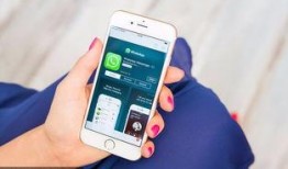 守日人手机在线观看,揭秘神秘守时者的在线悬疑之旅