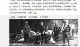 宁波顺丰爆料事件始末视频,真相与争议的交织