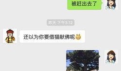 新闻哥新爆料,揭秘事件背后惊人真相