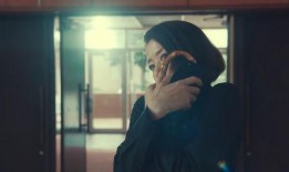 女搜查官系列在线观看,在线揭秘神秘案件，正义之光闪耀荧屏