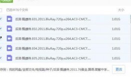 娱乐圈吃瓜合集pdf百度云网盘,揭秘吃瓜合集背后的精彩瞬间