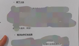 新丁杨洋最新爆料视频,幕后故事与心路历程