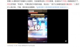 陈氏果业爆料事件视频完整版,揭秘背后真相与争议