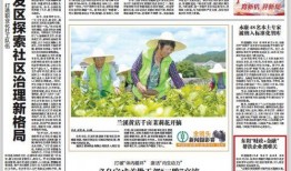 金华爆料新闻,惊曝某企业涉嫌违规操作，环保问题引关注