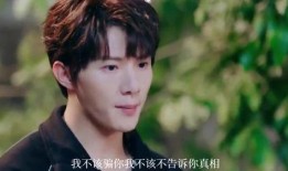 助理爆料真实明星视频播放,真实明星私密视频引发热议，揭秘娱乐圈不为人知的一面