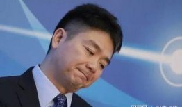 天涯爆料刘强东视频,天涯爆料背后的真相与争议