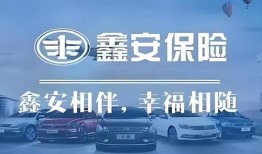 众安车险爆料最新消息,揭秘行业变革与未来趋势”