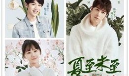 夏至未至在线观看免费,青春记忆的温暖回响