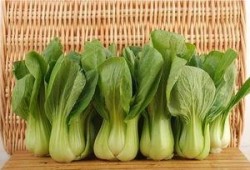 青菜爆料视频大全集下载,揭秘幕后真相，带你领略网络风云