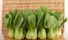 青菜爆料视频大全集下载,揭秘幕后真相，带你领略网络风云