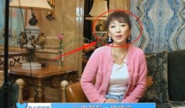 赵小棠家世爆料视频,豪门背景曝光，娱乐圈新贵崛起