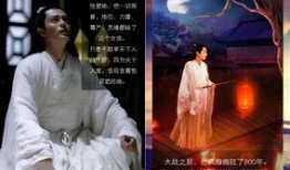 四大绯闻爆料视频播放,真相与谣言的交织