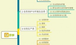 青菜爆料视频大全集下载,揭秘幕后真相，带你领略网络风云
