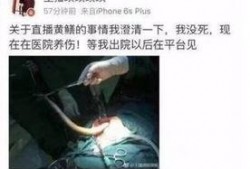 黄鳝门哪里能在线观看,揭秘网络热点的在线观看指南