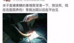 黄鳝门哪里能在线观看,揭秘网络热点的在线观看指南