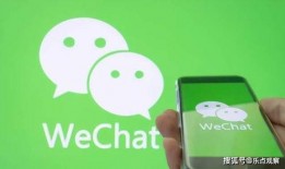 微信今日有爆料的动物,神秘动物惊现，揭秘其神秘面纱