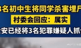 石家庄初中爆料案件最新,揭秘校园安全事件背后的真相