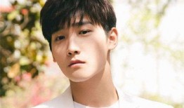 邢昭林女粉丝爆料视频,揭秘明星幕后故事