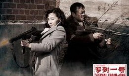 专列一号全集在线观看,揭秘神秘列车背后的惊险故事