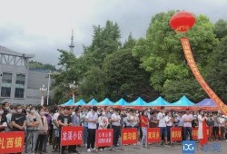 东莞大岭山爆料新闻事件,真相与影响揭秘
