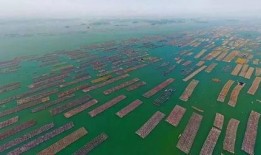 防城港开海首日最新爆料,新鲜海鲜齐聚一堂！”