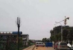 武汉江夏最新爆料,揭秘武汉江夏区最新动态与热点事件