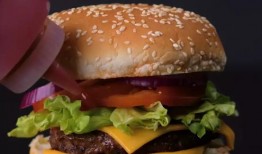 汉堡爆料视频大全集最新,揭秘幕后真相，带你走进神秘世界