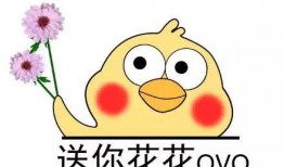 黑哥爆料的视频的微博是什么,幕后真相大起底