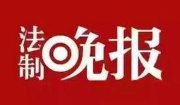 河南卫视新闻爆料亿健,真相令人震惊！