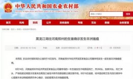 湖北农信社最新爆料消息