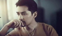 娱乐圈吃瓜爆料文件胡歌,娱乐圈风云再起，揭秘明星背后的故事