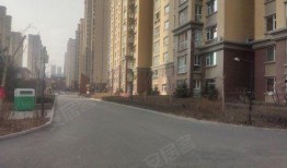 开源嘉苑爆料案件真相视频,揭秘真相背后的惊人内幕