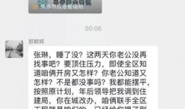 郭主任最新爆料消息视频,最新爆料视频深度解析