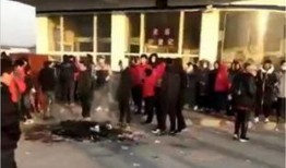 天津爆料人视频大全,揭秘城市生活百态